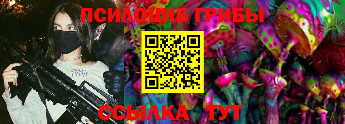 Кунгур  Галлюциногенные грибы MAGIC MUSHROOMS  Вход с VPN 